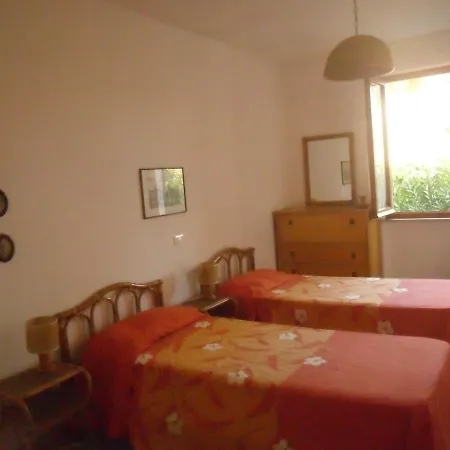 Colibri 6