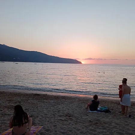 Colibri 6 *